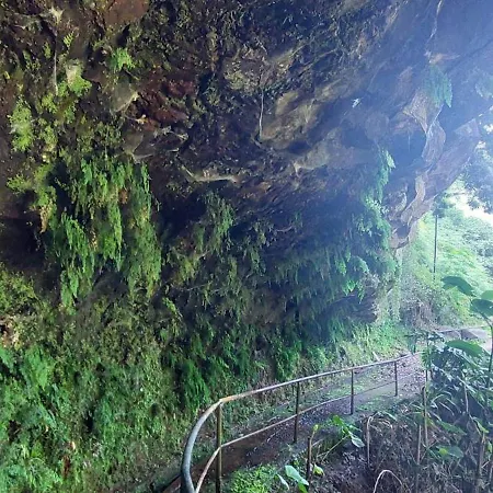 Casa Zerotin Funchal (Madeira)
