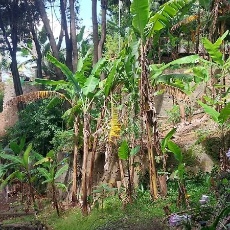 Vakantiehuis Casa Zerotin *