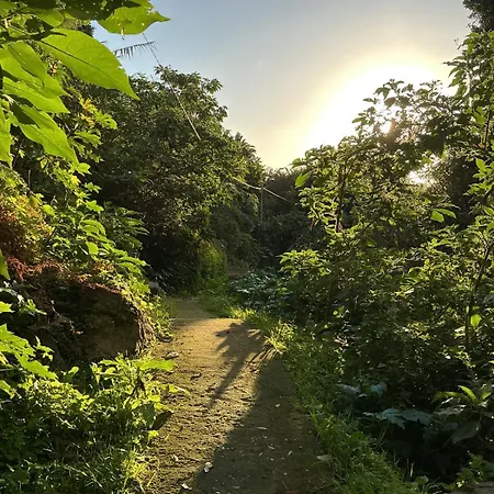別荘 Casa Zerotin