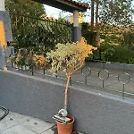 Casa Zerotin Hébergement de vacances *