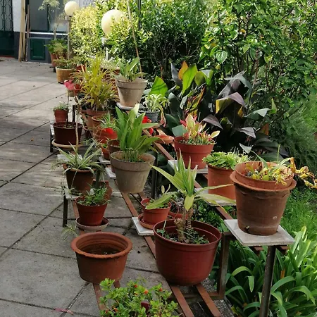 Casa Zerotin * 푼샬