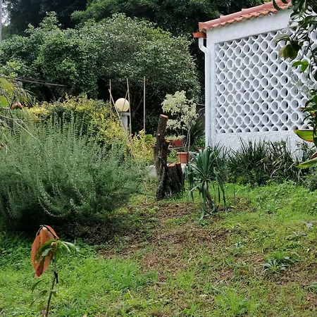 펜션 Casa Zerotin 푼샬