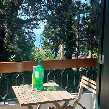 Casa žerotín * Funchal (Madeira)