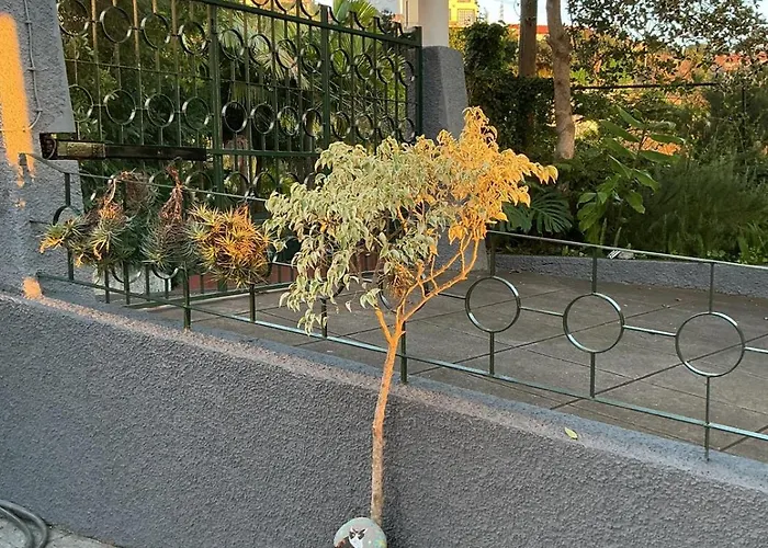 Casa Zerotin Hébergement de vacances *
