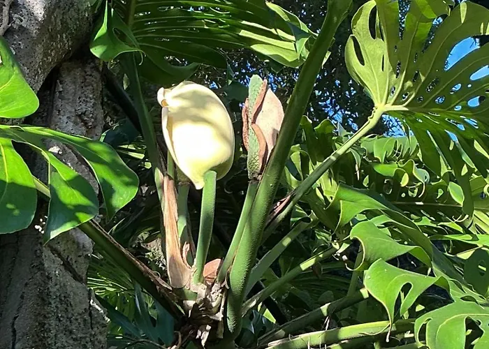 Casa Zerotin Hébergement de vacances *