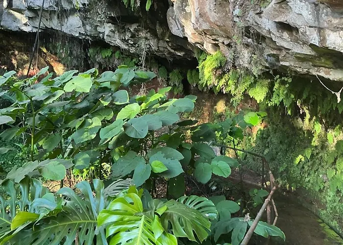 Casa Zerotin * Funchal (Madeira)