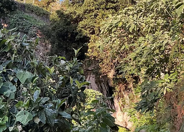 Hébergement de vacances Casa Zerotin Funchal (Madeira)