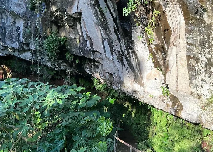 Casa Zerotin Funchal (Madeira)