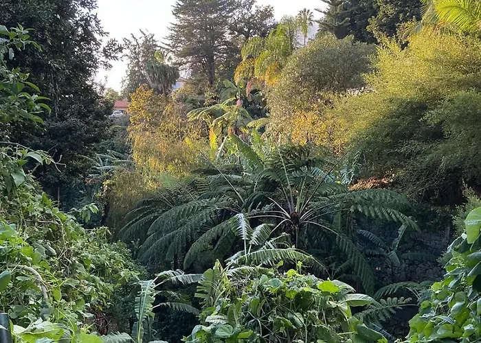 Casa Zerotin Funchal (Madeira)