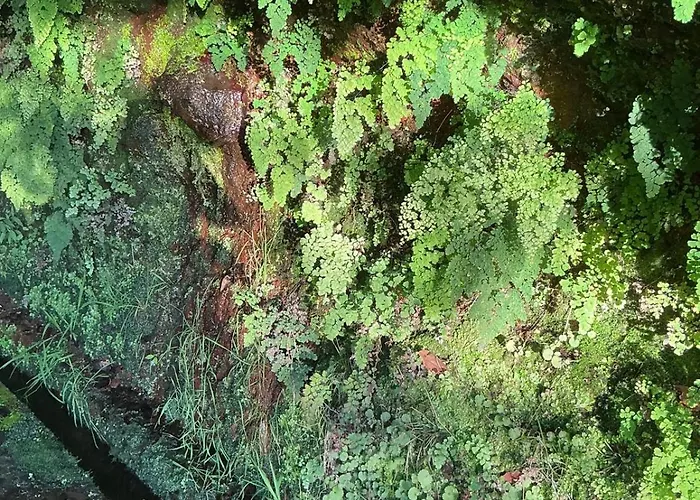 Casa Zerotin Hébergement de vacances