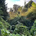 Casa Zerotin Funchal (Madeira)