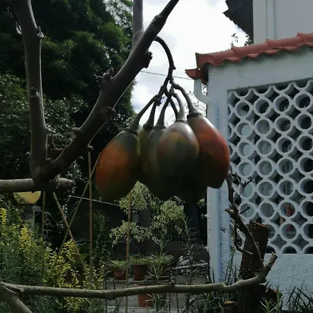 بيت للعطل Casa Zerotin