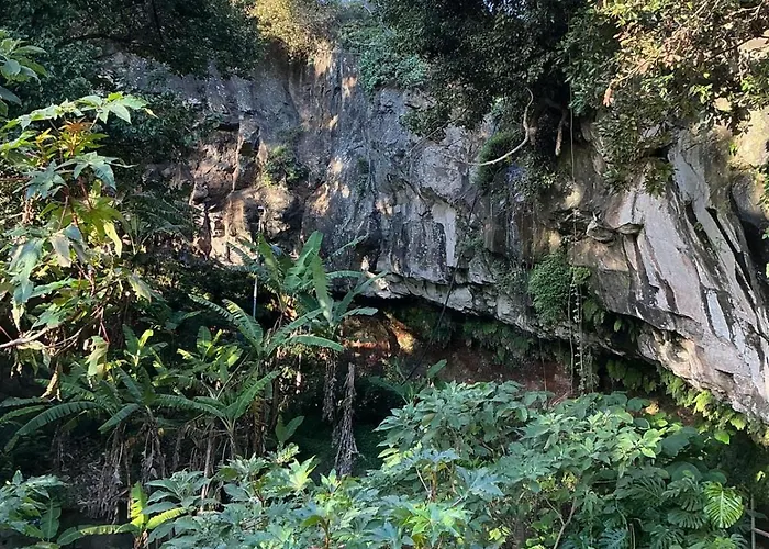 Casa Zerotin فونشال